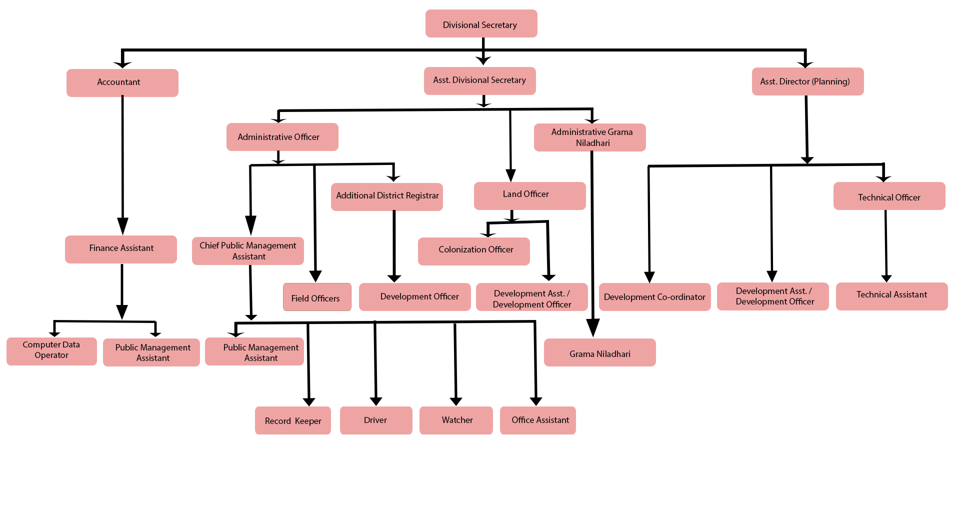 Organization chart E