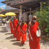 පොසොන් පොහොය දින දානමය පිංකම - 2020
